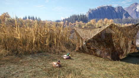 theHunter™: Call of the Wild - Duck and Cover Pack Steam Gift NORTH AMERICA - 8