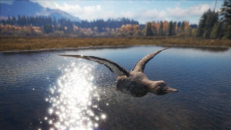 theHunter™: Call of the Wild - Duck and Cover Pack Steam Gift NORTH AMERICA - 7