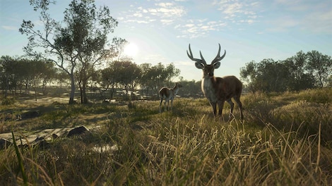 theHunter: Call of the Wild - Emerald Coast Australia (PC) - Steam Gift - EUROPE - 9