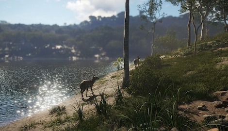 theHunter: Call of the Wild - Emerald Coast Australia (PC) - Steam Gift - EUROPE - 3
