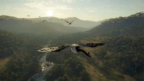 theHunter: Call of the Wild - Emerald Coast Australia (PC) - Steam Key - EUROPE - 6