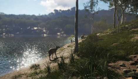 theHunter: Call of the Wild - Emerald Coast Australia (PC) - Steam Key - LATAM - 3