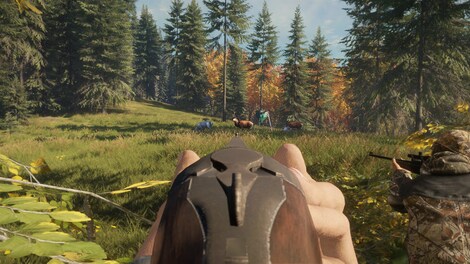 theHunter: Call of the Wild - Game Feeder Pack (PC) - Steam Key - GLOBAL - 4