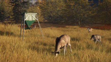theHunter: Call of the Wild - Game Feeder Pack (PC) - Steam Key - GLOBAL - 11