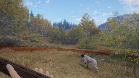 TheHunter: Call of the Wild - German Shorthaired Pointer (PC) - Steam Key - EUROPE - 3