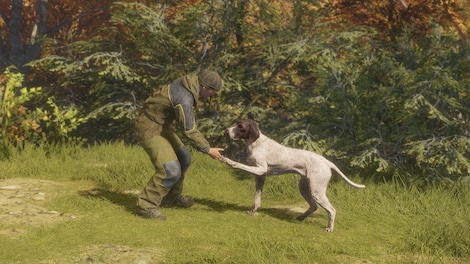 TheHunter: Call of the Wild - German Shorthaired Pointer (PC) - Steam Key - EUROPE - 4