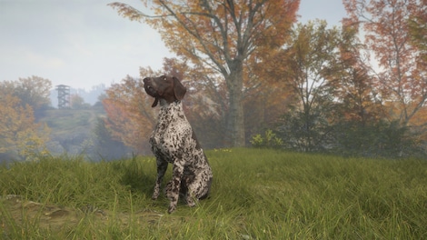 TheHunter: Call of the Wild - German Shorthaired Pointer (PC) - Steam Key - GLOBAL - 6