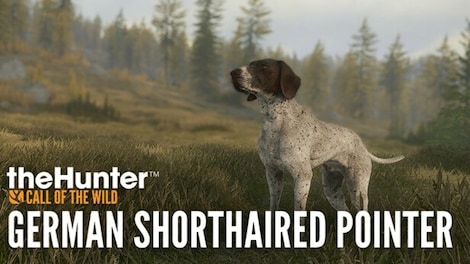 TheHunter: Call of the Wild - German Shorthaired Pointer (PC) - Steam Key - GLOBAL - 0