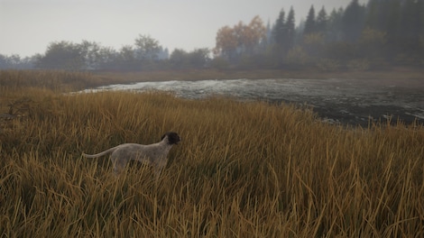 TheHunter: Call of the Wild - German Shorthaired Pointer (PC) - Steam Key - GLOBAL - 5
