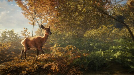 theHunter: Call of the Wild - Greenhorn Bundle (PC) - Steam Account - GLOBAL - 14