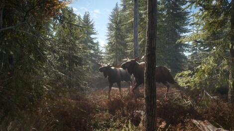 theHunter: Call of the Wild - Greenhorn Bundle (PC) - Steam Key - EUROPE - 3