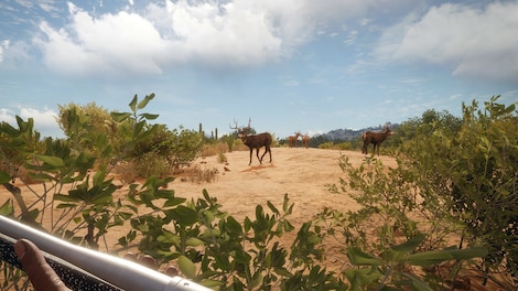 theHunter: Call of the Wild - Hunter Power Pack (PC) - Steam Key - GLOBAL - 4