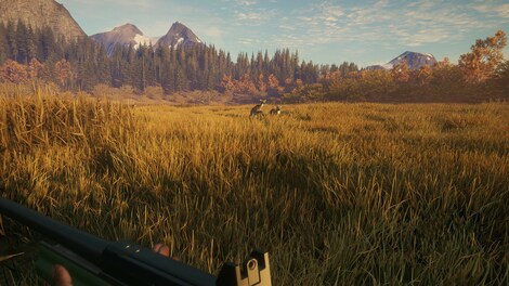 theHunter: Call of the Wild - Hunter Power Pack (Xbox One) - Xbox Live Key - CANADA - 5