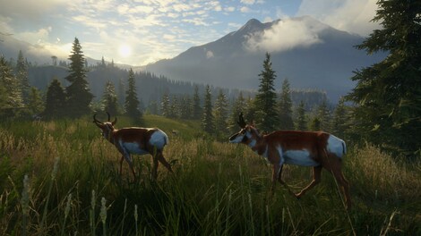 theHunter: Call of the Wild – Hunting Pro Pack (Xbox One) - Xbox Live Key - EUROPE - 9