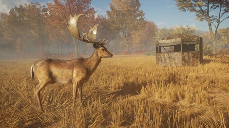 theHunter: Call of the Wild – Hunting Pro Pack (Xbox One) - Xbox Live Key - EUROPE - 12