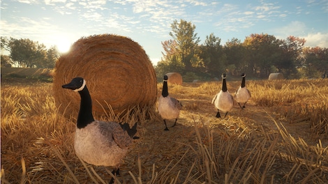 TheHunter: Call of the Wild - Hunting Starter Pack (PC) - Steam Account - GLOBAL - 6