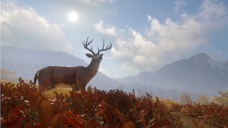TheHunter: Call of the Wild - Hunting Starter Pack (PC) - Steam Account - GLOBAL - 4