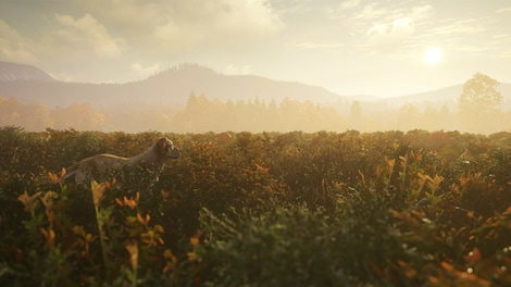 theHunter: Call of the Wild - Labrador Retriever (PC) - Steam Gift - GLOBAL - 3
