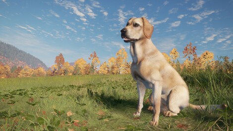 theHunter: Call of the Wild - Labrador Retriever (PC) - Steam Gift - GLOBAL - 8
