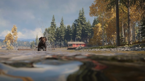 theHunter: Call of the Wild - Labrador Retriever (PC) - Steam Gift - GLOBAL - 4