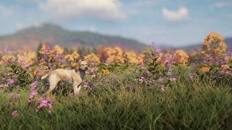 theHunter: Call of the Wild - Labrador Retriever (PC) - Steam Gift - GLOBAL - 6