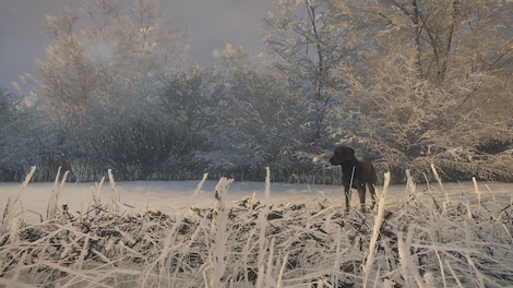 theHunter: Call of the Wild - Labrador Retriever (PC) - Steam Gift - GLOBAL - 7