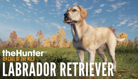 theHunter: Call of the Wild - Labrador Retriever (PC) - Steam Gift - GLOBAL - 0