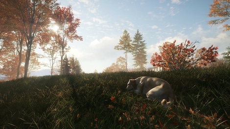 theHunter: Call of the Wild - Labrador Retriever (PC) - Steam Gift - GLOBAL - 5