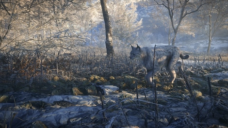 theHunter: Call of the Wild - Medved-Taiga (PC) - Steam Gift - GLOBAL - 3