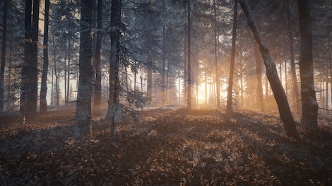 theHunter: Call of the Wild - Medved-Taiga (PC) - Steam Gift - GLOBAL - 5