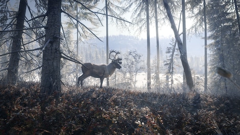theHunter: Call of the Wild - Medved-Taiga (PC) - Steam Gift - GLOBAL - 6