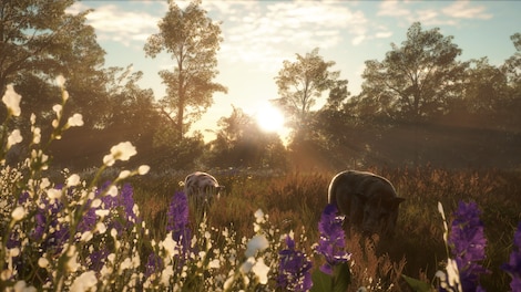 theHunter: Call of the Wild - Mississippi Acres Preserve (PC) - Steam Key - GLOBAL - 3