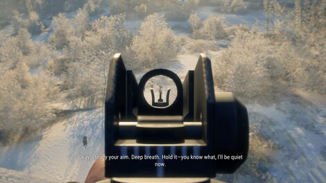 theHunter: Call of the Wild - Modern Rifle Pack (PC) - Steam Gift - GLOBAL - 5