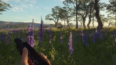 theHunter: Call of the Wild - Modern Rifle Pack (Xbox One) - Xbox Live Key - EUROPE - 8