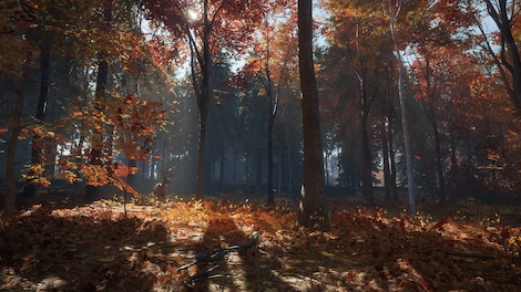 theHunter Call of the Wild - New England Mountains (PC) - Steam Gift - GLOBAL - 6
