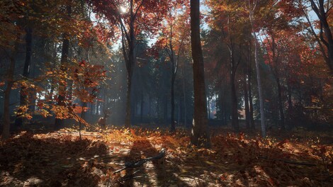 theHunter Call of the Wild - New England Mountains (PC) - Steam Key - EUROPE - 6