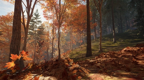 theHunter Call of the Wild - New England Mountains (PC) - Steam Key - GLOBAL - 11