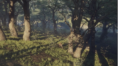 theHunter: Call of the Wild - Parque Fernando (PC) - Steam Key - EUROPE - 5