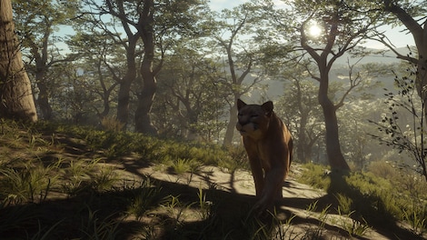 theHunter: Call of the Wild - Parque Fernando (PC) - Steam Key - EUROPE - 10