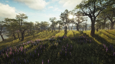 theHunter: Call of the Wild - Parque Fernando (PC) - Steam Key - GLOBAL - 7