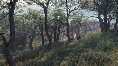 theHunter: Call of the Wild - Parque Fernando (PC) - Steam Key - GLOBAL - 11