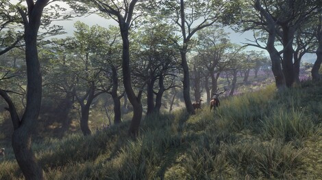 theHunter: Call of the Wild - Parque Fernando Steam Gift GLOBAL - 11