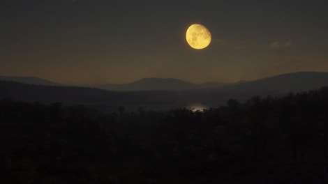 theHunter: Call of the Wild - Parque Fernando Steam Gift NORTH AMERICA - 3