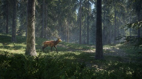 theHunter: Call of the Wild (PC) - Steam Gift - GLOBAL - 9