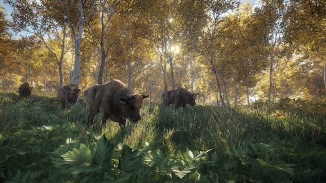theHunter: Call of the Wild (PC) - Steam Gift - LATAM - 15