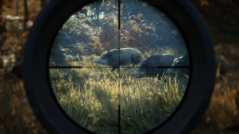 theHunter: Call of the Wild (PC) - Steam Gift - LATAM - 6