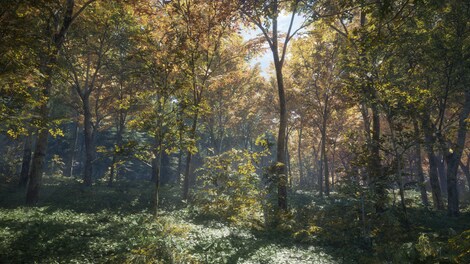 theHunter: Call of the Wild (PC) - Steam Gift - LATAM - 2