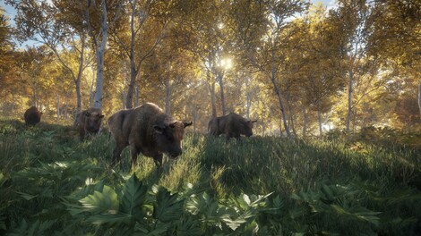 theHunter: Call of the Wild (PC) - Steam Gift - NORTH AMERICA - 15