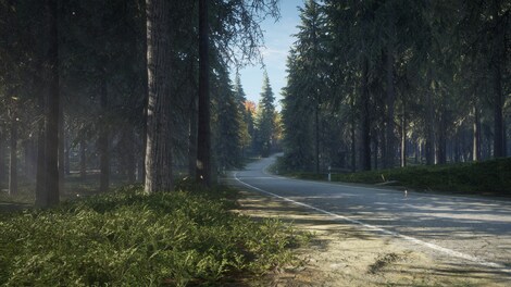 theHunter: Call of the Wild (PC) - Steam Key - LATAM - 10