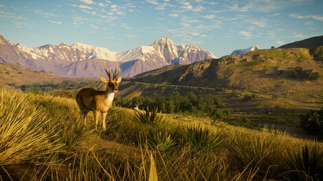 theHunter: Call of the Wild - Peru Hunting Reserve (PC) - Steam Key - GLOBAL - 8